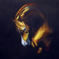 Golden Arabian Stallion, pastel, 50x50 cm, based on the photo made by Wojciech Kwiatkowski